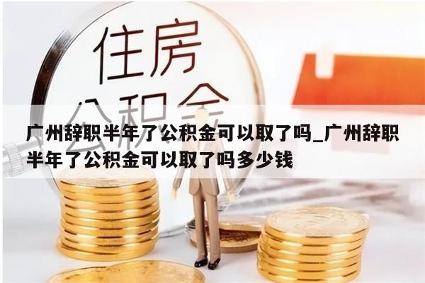 广州辞职半年了公积金可以取了吗_广州辞职半年了公积金可以取了吗多少钱